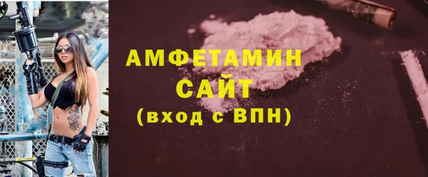 индика Бугульма