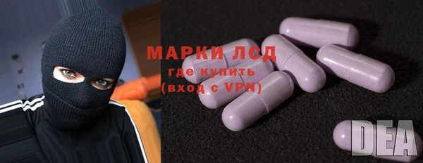 индика Бугульма