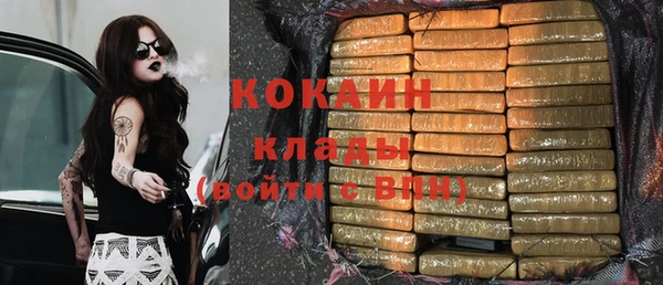 индика Бугульма