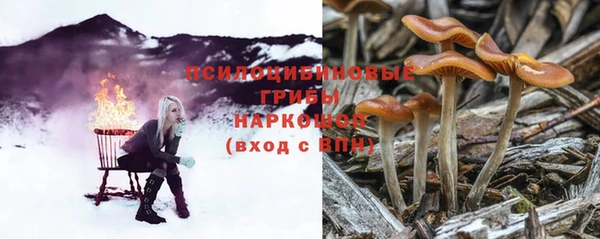 индика Бугульма