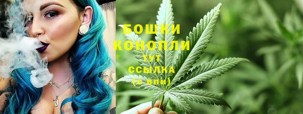 индика Бугульма