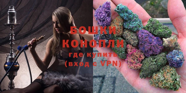 индика Бугульма