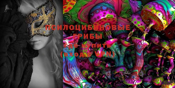 прущие грибы Зеленодольск