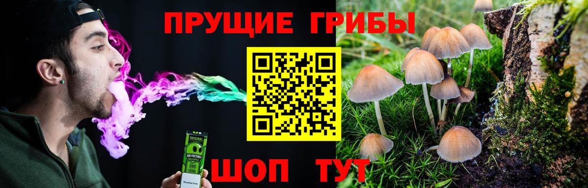 Дальнегорск  Псилоцибиновые грибы Psilocybe  Вход с VPN  Галлюциногенные грибы прущие грибы 