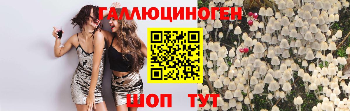 Галлюциногенные грибы Magic Shrooms Дальнегорск