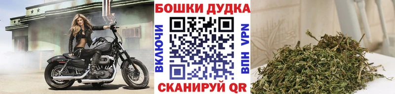 Бошки марихуана LSD WEED  купить наркотики цена  Дальнегорск 